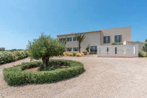 Finca mit schöner Einfahrt
