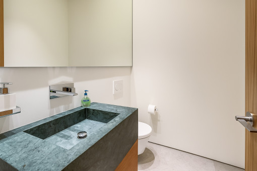 Gäste-WC auf der Eingangsebene