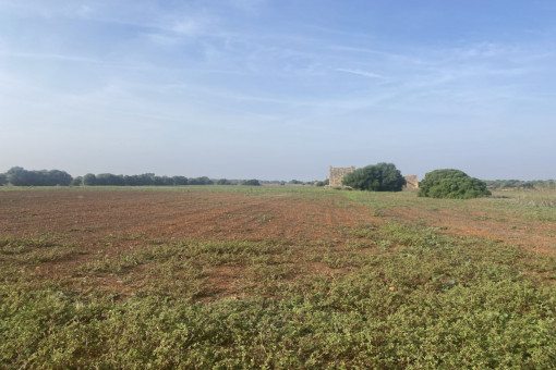 Ländliches Baugrundstück mit herrlichen Weitblick nahe Campos