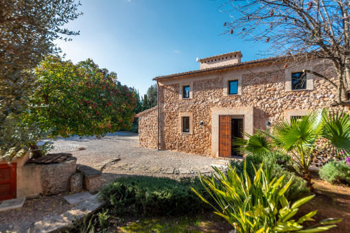Finca
