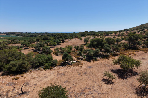 Berglage