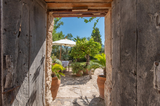 Blick in den Garten