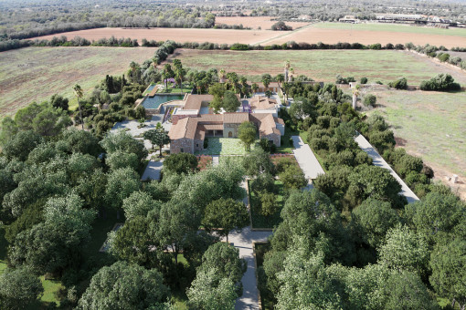 Finca