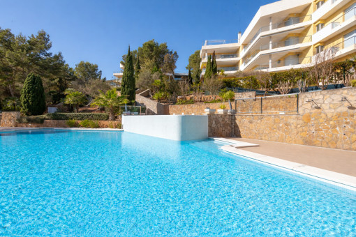 Grosse Gemeinschaftsanlage