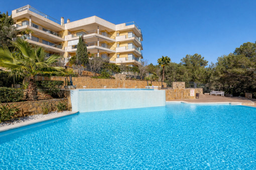 Grosser Gemeinschaftspool