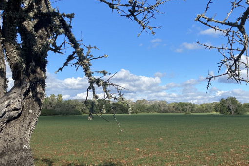 Grundstück mit Blick auf Randa