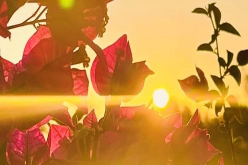 Herrliche Sonnenuntergänge