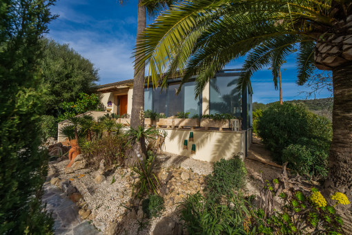 Garten mit Palmen und Naturblick