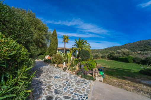 Mediterraner Garten