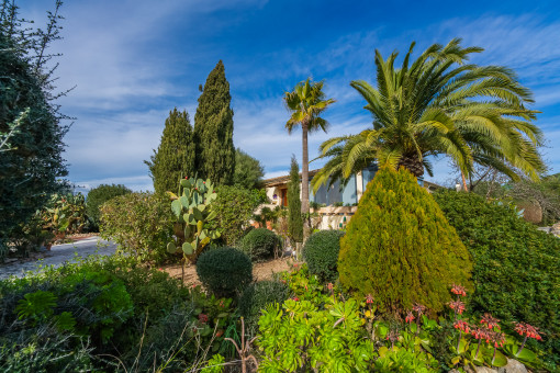 Mediterraner Garten mit Palmen