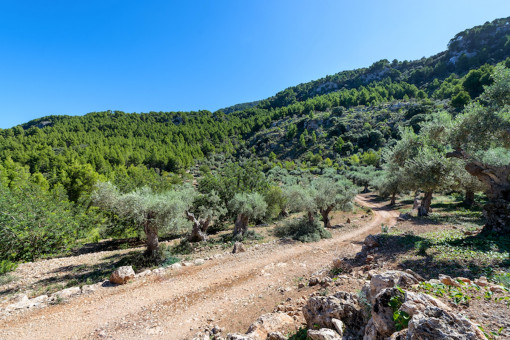 Land