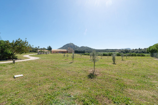 Panoramablick auf das Grundstück mit Olivenbäumen, Finca und Garage
