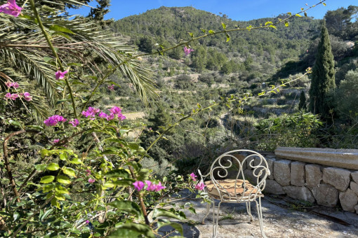 Terrassen mit Bergblick