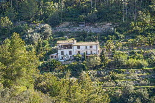 Das separate, zur Miete angebotene Annex der Finca ist auf der linken Seite des Bildes zu sehen