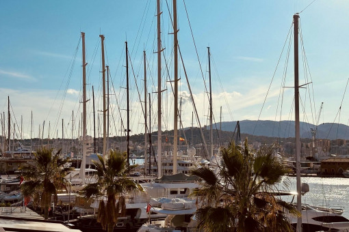 Yachthafen von Palma