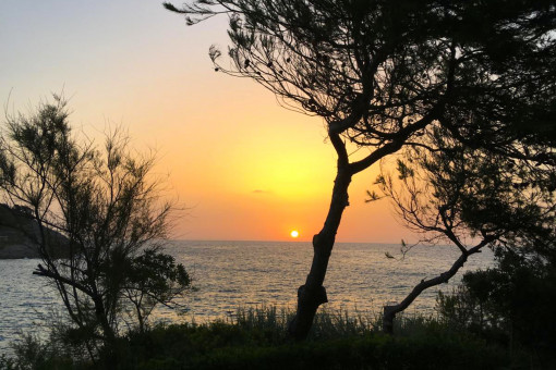 Sonnenuntergang