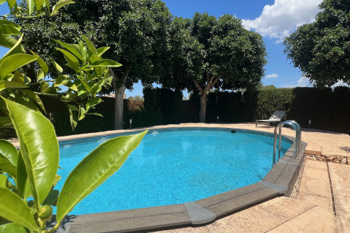Poolbereich