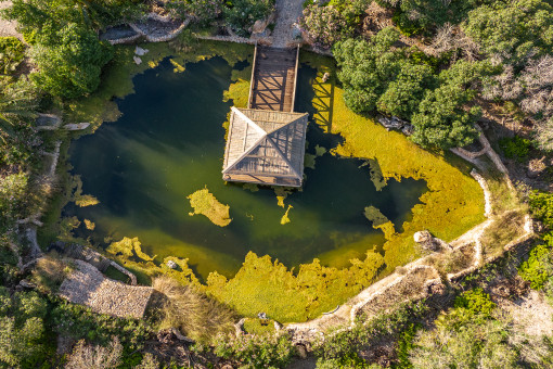 Teich mit Haus