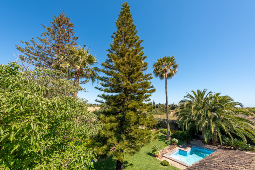 Garten
