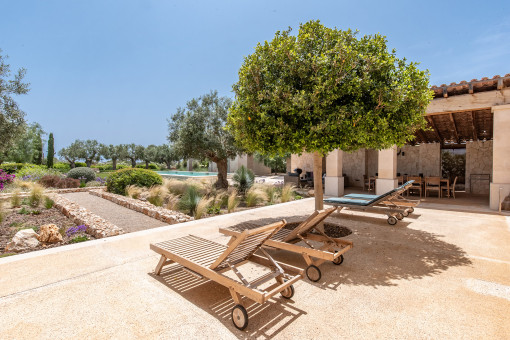Sonnenterrasse mit Blick in den Garten