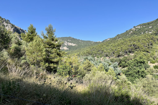 Grundstück in Valldemossa zum Kauf