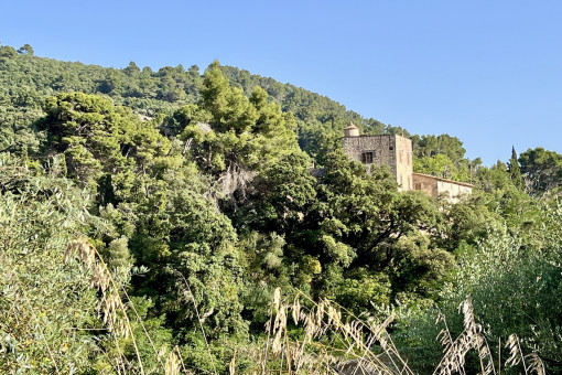 Aussicht