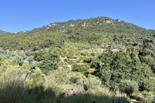 Aussicht