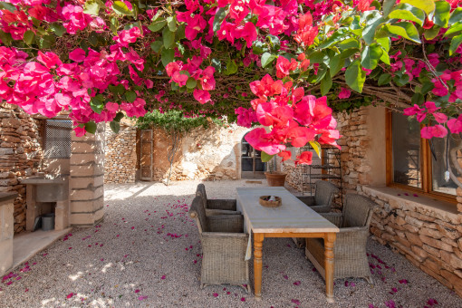 Patio mit Bougainvillea