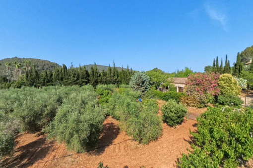 Rustikale Finca mit Panoramablick über Obstgarten