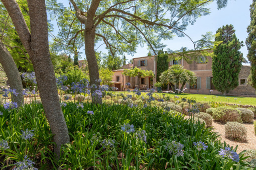 Mediterraner Garten