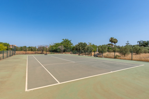 Tennisplatz