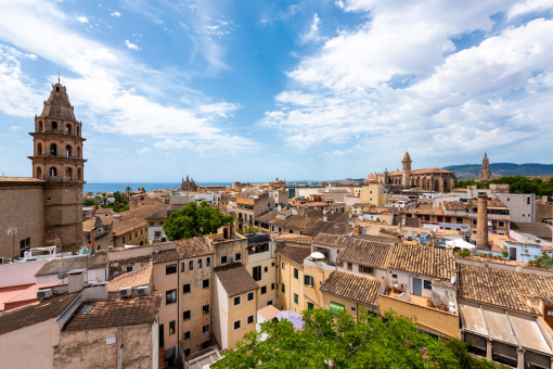 Blick über die Dächer der Altstadt von Palma