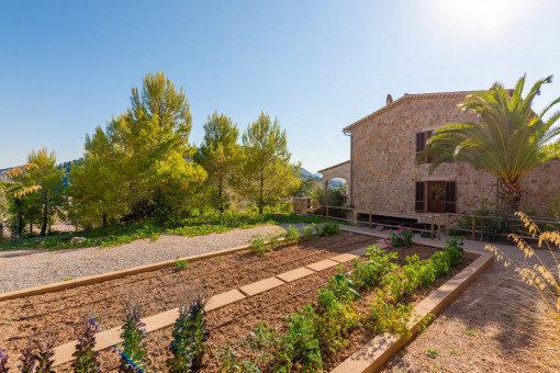 Gemüsegarten