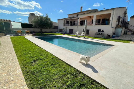Pool und Garten