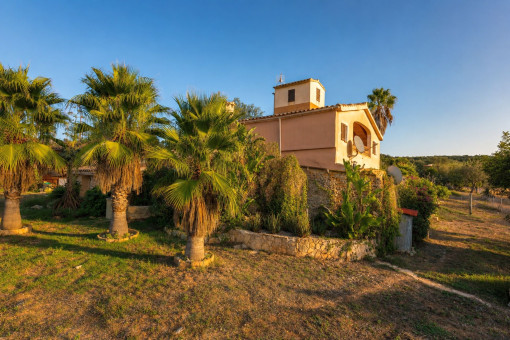 Finca mit Palmen und mediterranem Garten bei Manacor