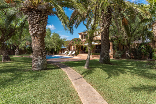 Mediterrane Bepflanzung