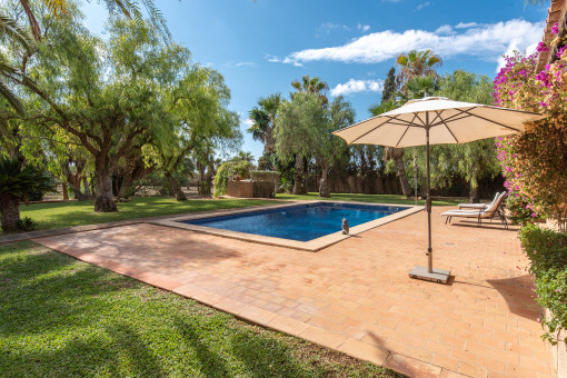 Attraktiver Poolbereich