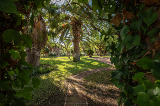 Verwunschener Garten