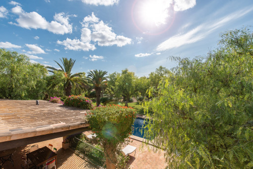 Wunderschöner Blick in den Garten