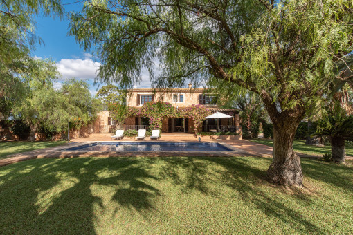 Eingewachsener Garten