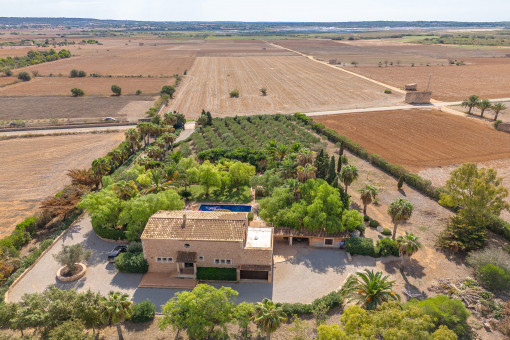 Weitläufiges Grundstück