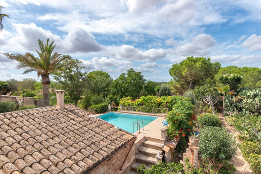 Eingewachsener Garten