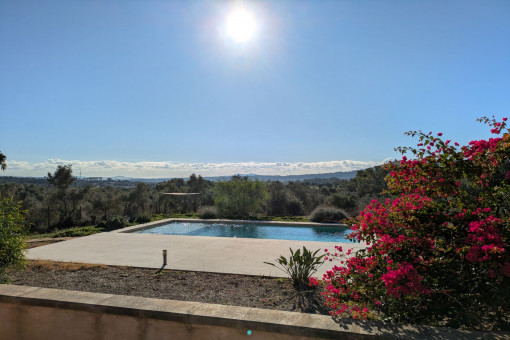 Poolbereich mit großzügiger Sonnenterrasse und umgeben von mediterraner Vegetation