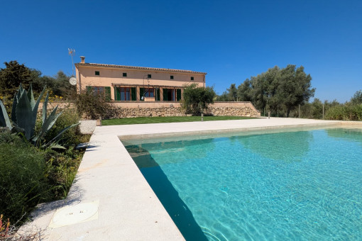 Blick vom Garten zum Haus