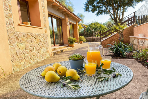 Terrassen rund ums Haus