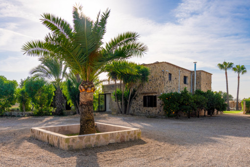 Schöne moderne Finca in Algaida