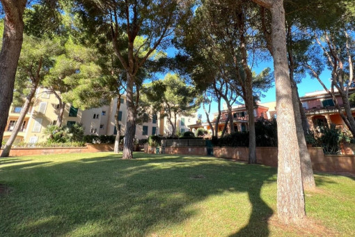 Grüne Außenanlage mit Bäumen