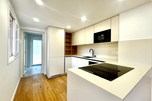 Moderne Einbauküche