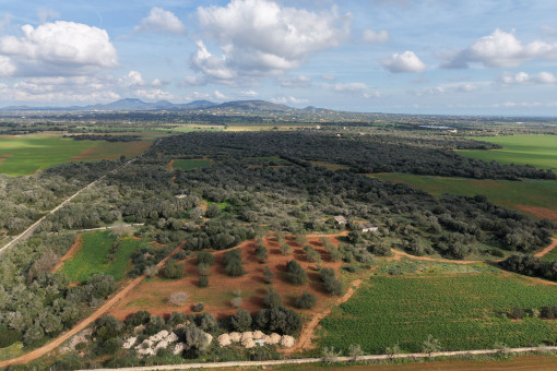 Großzügiges Grundstück vor Santanyi