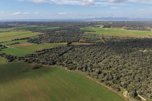 Luftbild Grundstück